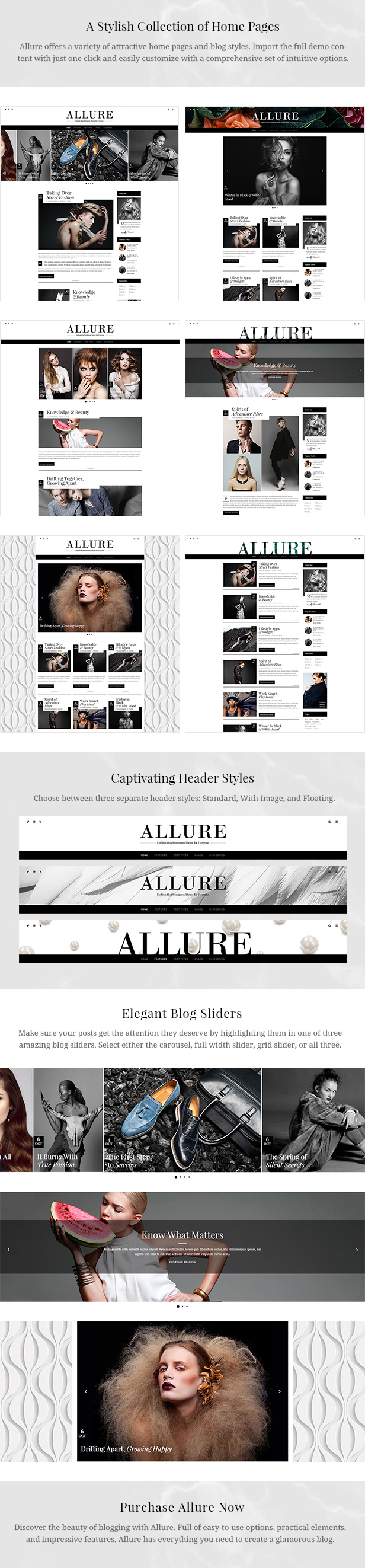 Allure - Fashion Blog Theme - 1